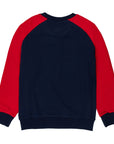 Raglan sleeve sweatshirt and America print