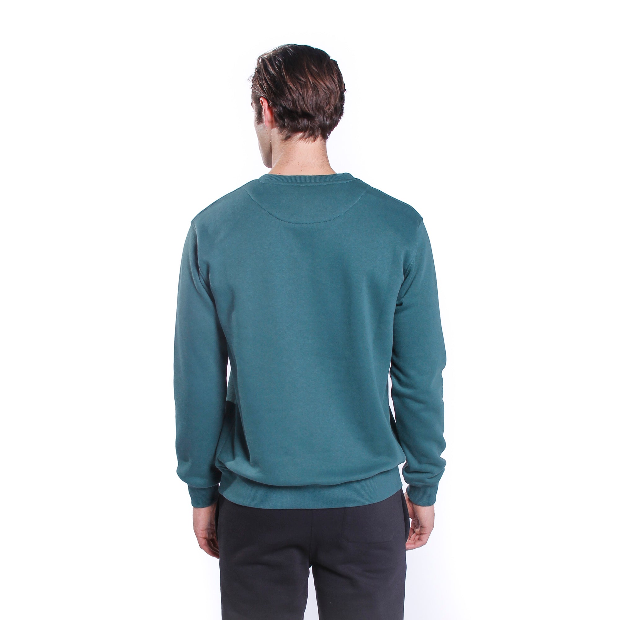 Crew-neck sweatshirt with inside brushed logo print on the chest